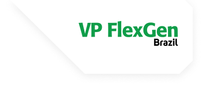 VP FlexGen | Brazil